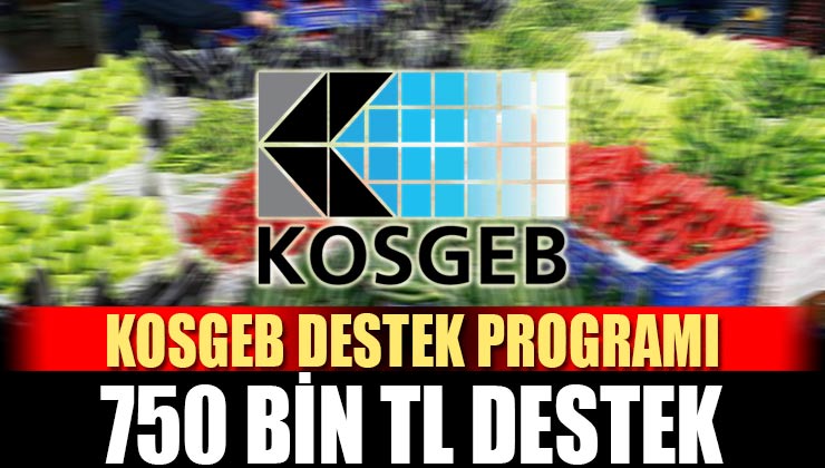 KOSGEB Yeni Destek Programı; 750 Bin TL’ye Kadar Destek Veriliyor, Başvurular Başladı!
