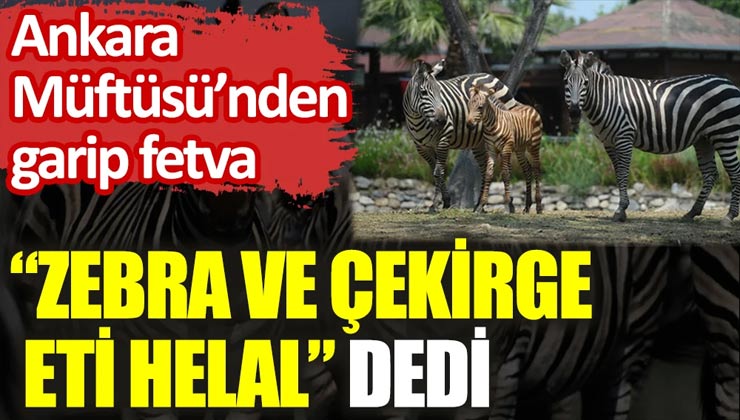 Ankara Müftüsü’nden İlginç Fetva: “Zebra ve Çekirge Eti Helal” Dedi