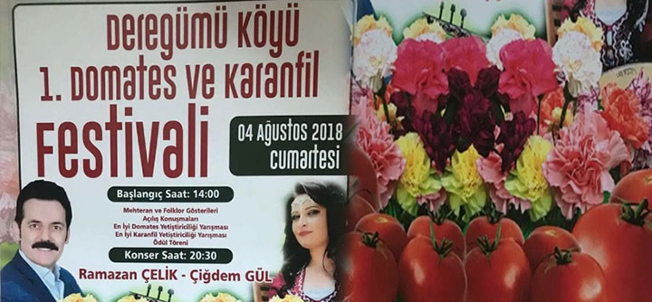 1.Deregümü Köyü Domates ve Karanfil Festivali