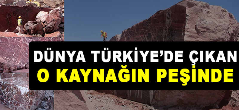 Bütün Dünya Türkiye’de Çıkan O Kaynağın Peşine Düştü