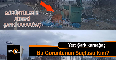 Şarkikaraağaç Belediyesi’nden Üzücü Görüntüler, Sizce Suçlu Kim?