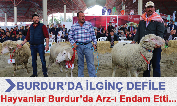 Burdur’da Hayvanlar Arz-ı Endam Etti :)