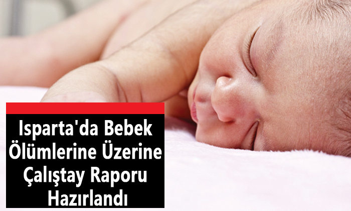 Isparta’da Bebek Ölümleri Üzerine Çalıştay Raporu Hazırlandı