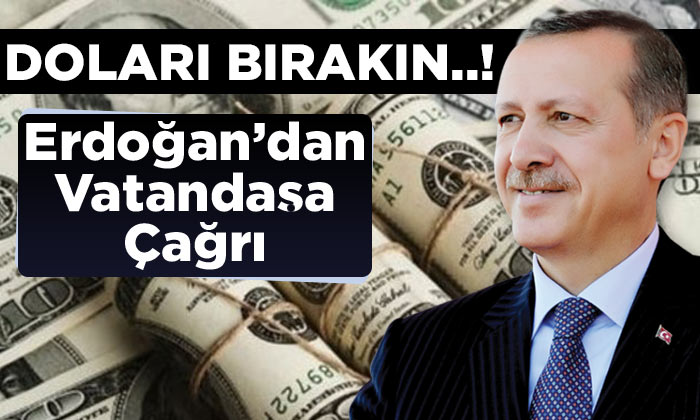 Erdoğan’dan Vatandaşa Çağrı! Doları bırakın, TL’ye geçin