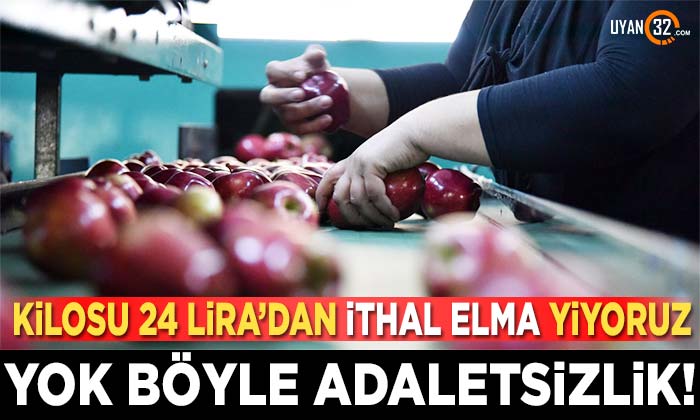 Türkiye Kilosu 24 Lira’dan İthal Elma Yiyor..!