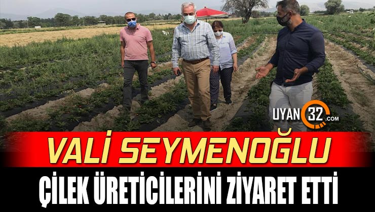 Vali Seymenoğlu Çilek Üreticilerini Ziyaret Etti!