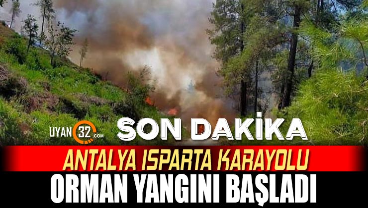 Son Dakika; Isparta Antalya Karayolunda Orman Yangını!