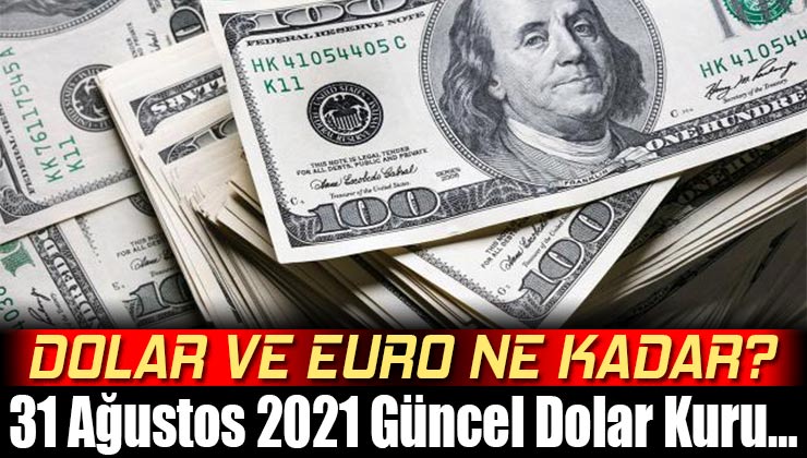 Bugün Dolar ve Euro Ne Kadar ? 31 Ağustos 2021 Güncel Dolar Kuru…