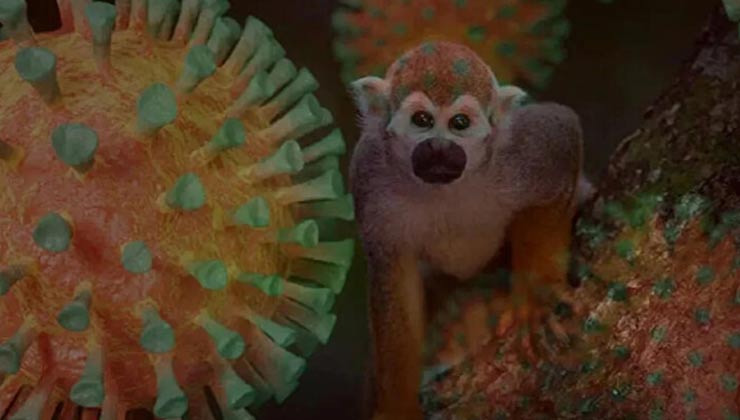 Maymun çiçeği virüsü hangi ilde görüldü?