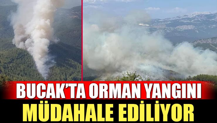 Yanıyoruz! Burdur, Mersin, İzmir ve Hatay’da Orman Yangını