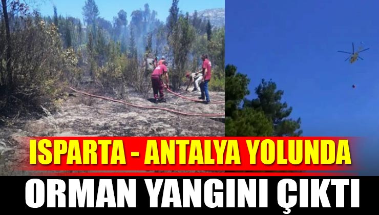 Isparta – Antalya Yolunda Orman Yangını Çıktı