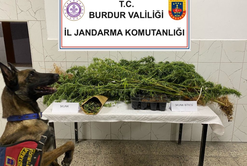 Burdur’da Uyuşturucu Operasyonu 1 Tutuklama